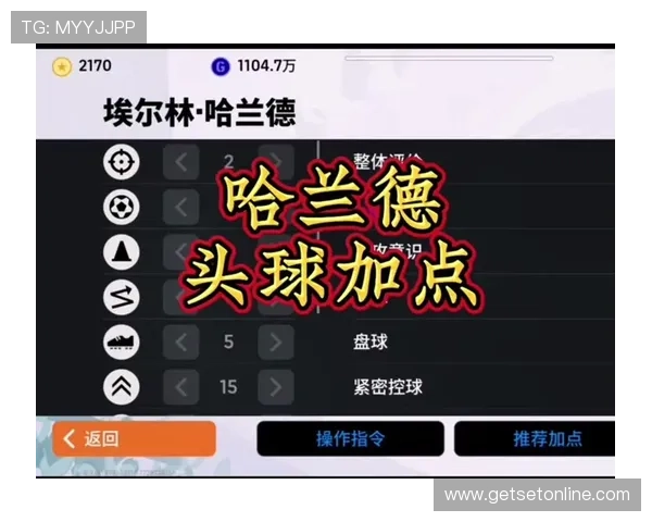 哈兰德游戏爱好者